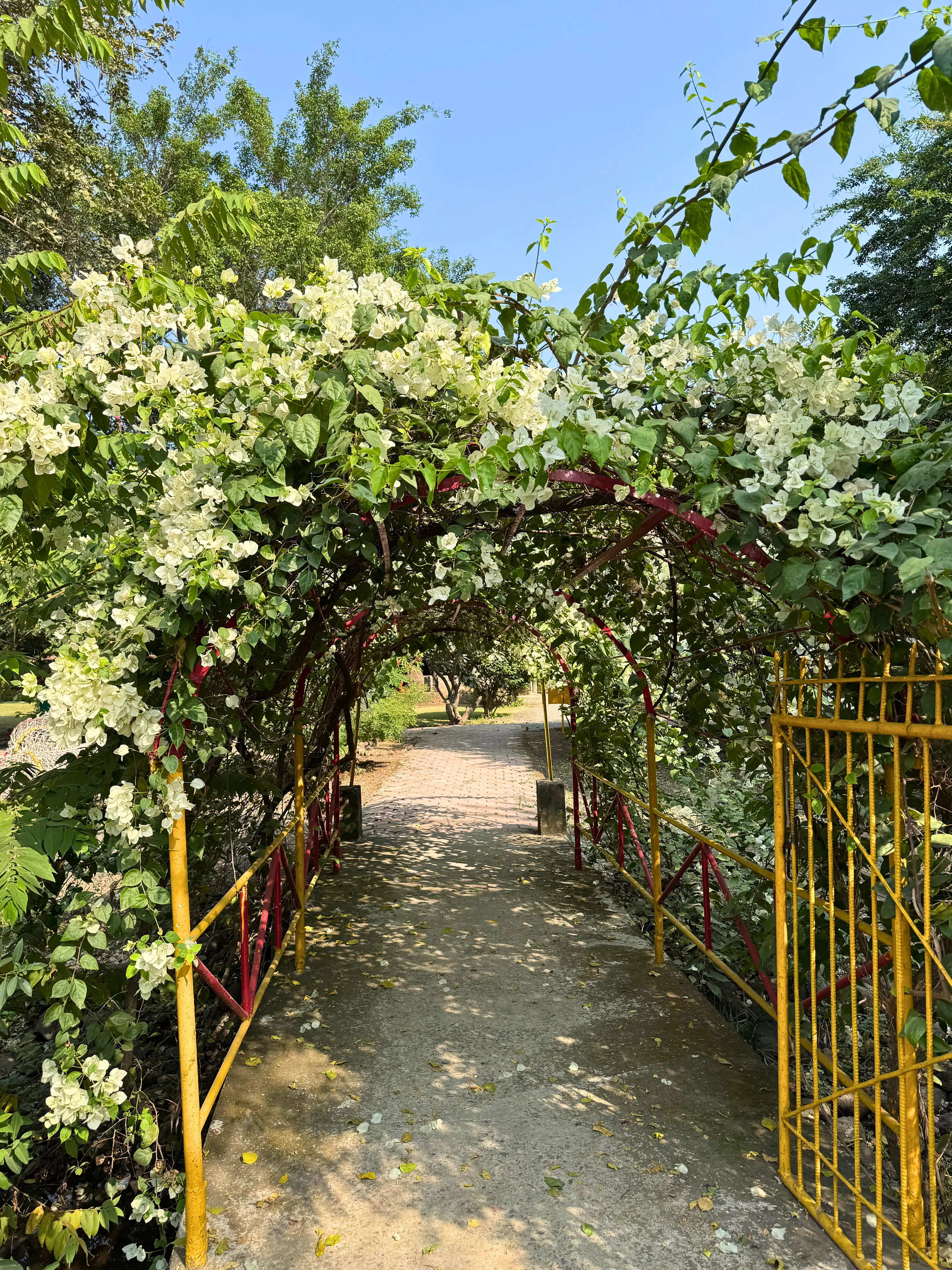 Sarai gallery image 19