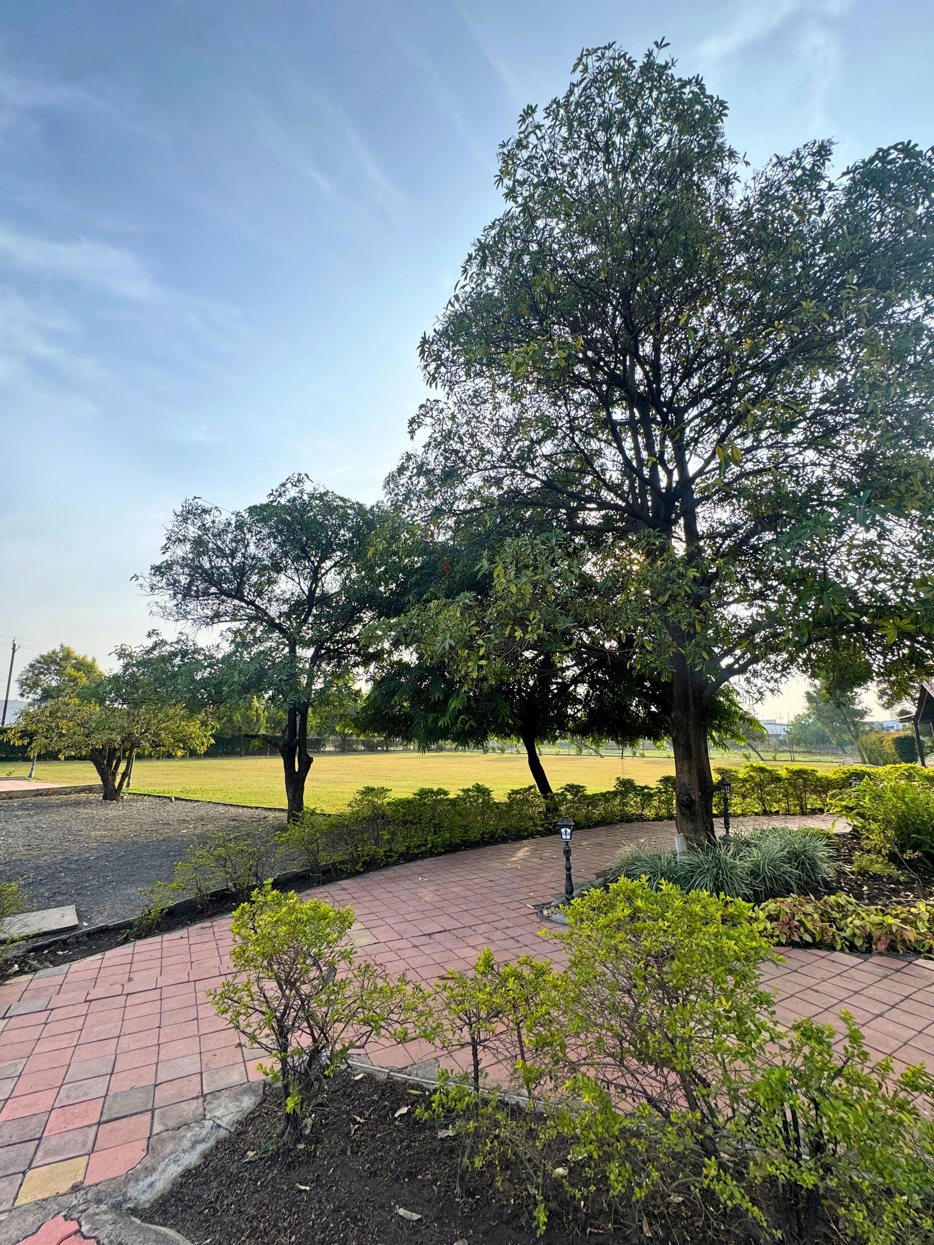 Sarai gallery image 4